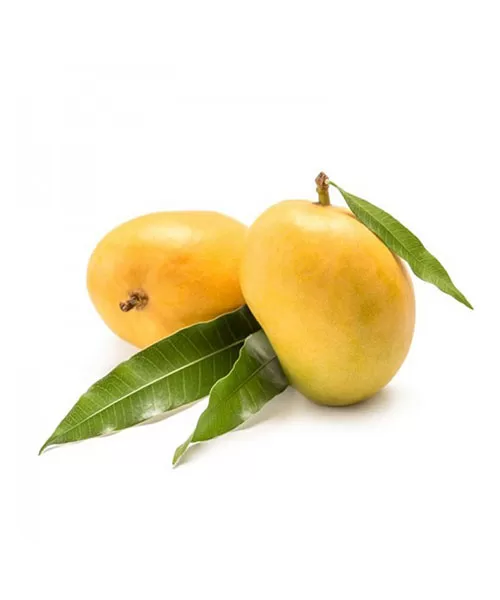 Alphonso-Mango