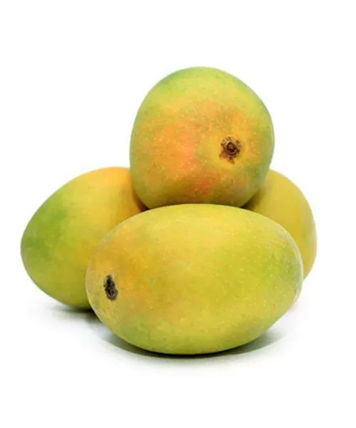 Alphonso-Mango